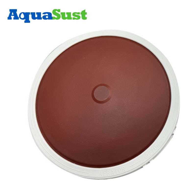 product-800-800